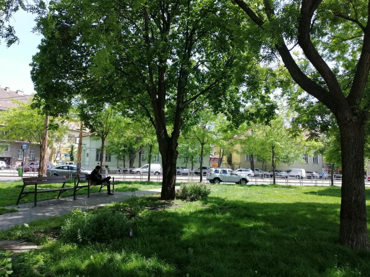 Guest House Orczy Park Βουδαπέστη Εξωτερικό φωτογραφία